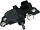F032335105